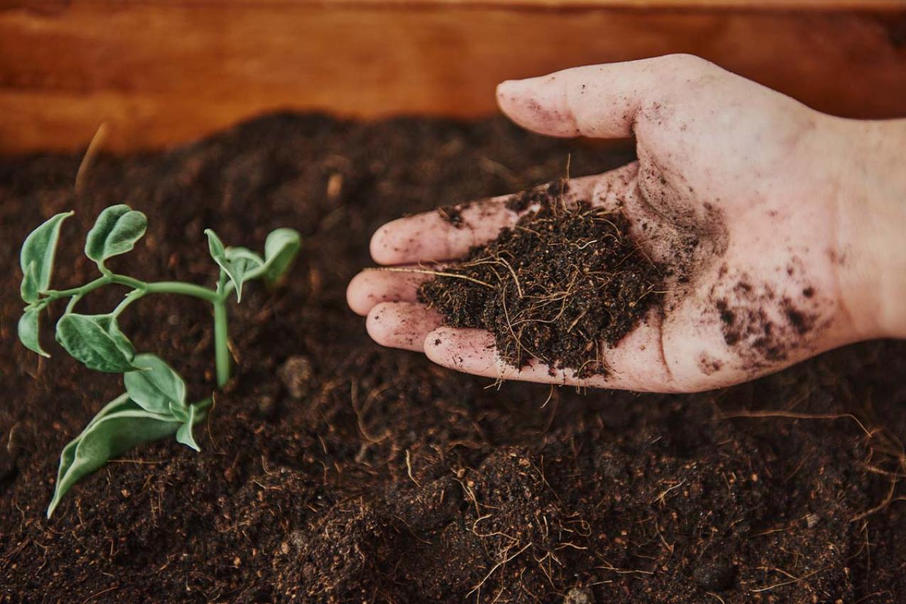 projets-participatifs-autour-de-la-nature-la-santeacute;-et-le-bien-ecirc;tre